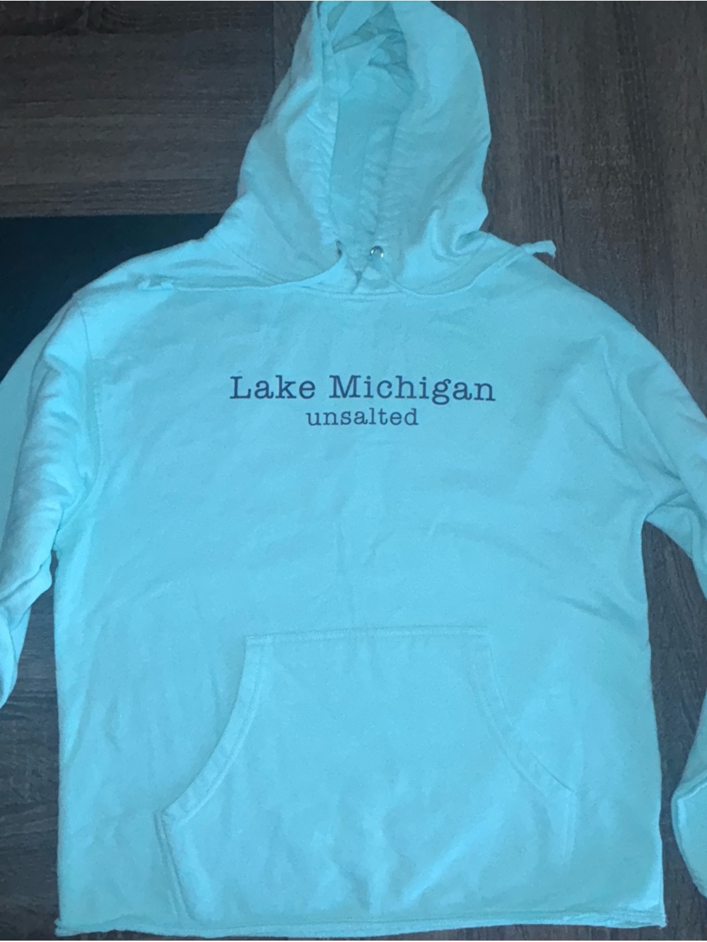 Unsalted No Sharks Lake Michigan Hoodie White Graphic Sweatshirt Adult Large
